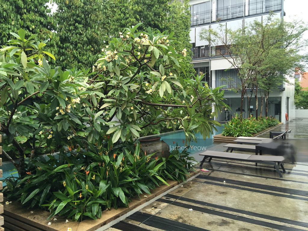Sandalwood (D15), Terrace #121173912